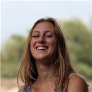 Professeur de dessin tous niveaux - adultes et enfants